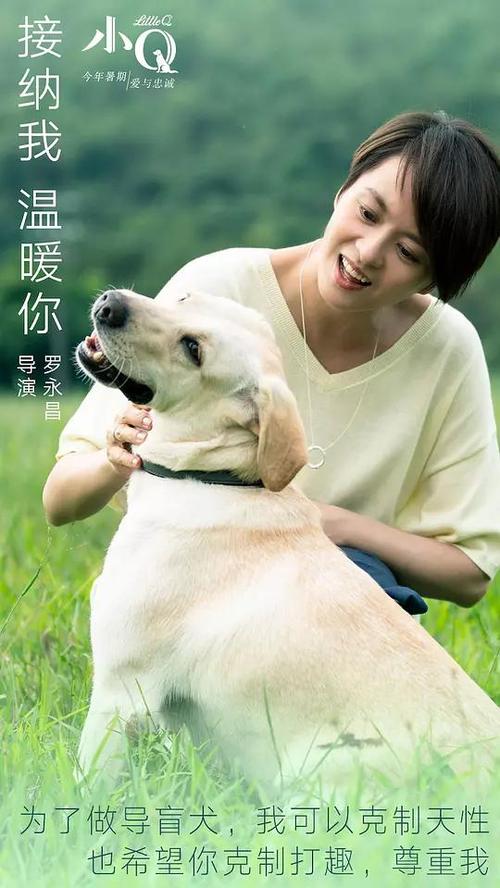 哪里可以制作中国银行流水